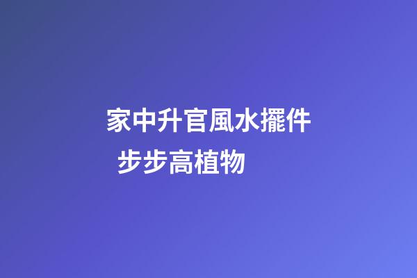 家中升官風水擺件  步步高植物